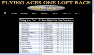 Flying Aces 200