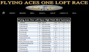 Flying Aces 2014
