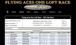 Flying Aces 2015 350