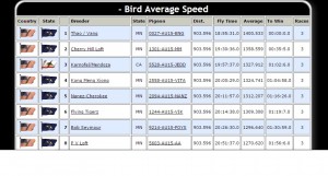 Flying Aces 2015 AVG